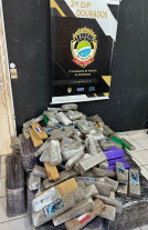 Operação da Polícia Civil de MS e MT prende 5 pessoas e apreende 550 quilos de maconha