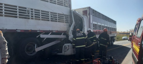 Motoristas ficam presos em ferragens após colisão envolvendo caminhões e carreta