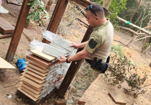 Senad e Codi iniciam ofensiva contra produção de maconha na fronteira