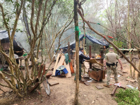 Senad e Codi iniciam ofensiva contra produção de maconha na fronteira