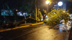 VÍDEO: Temporal deixa rastro de destruição e vários bairros sem energia em Dourados