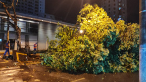 VÍDEO: Temporal deixa rastro de destruição e vários bairros sem energia em Dourados