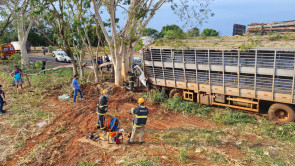 Motorista morre ao colidir caminhão contra árvore na BR-376