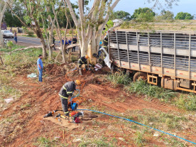 Motorista morre ao colidir caminhão contra árvore na BR-376