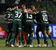 Foto: Divulgação SE Palmeiras