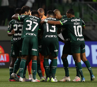 Foto: Divulgação SE Palmeiras