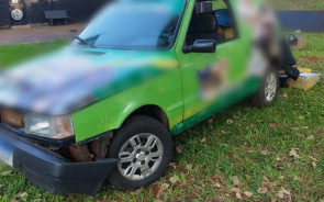 Carro com adesivo de pet shop é apreendido com quase meia tonelada de maconha