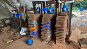 Polícia desmonta ‘laboratório’ que fornecia maconha para facções no Brasil