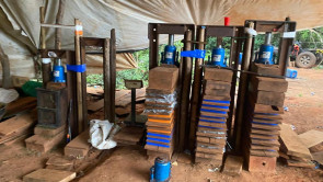 Polícia desmonta ‘laboratório’ que fornecia maconha para facções no Brasil