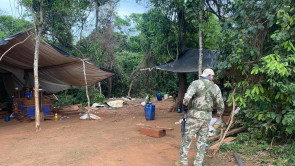 Polícia desmonta ‘laboratório’ que fornecia maconha para facções no Brasil