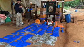 Polícia desmonta ‘laboratório’ que fornecia maconha para facções no Brasil