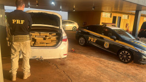 Motorista foge de abordagem da PRF abandona carro com 250 quilos de maconha