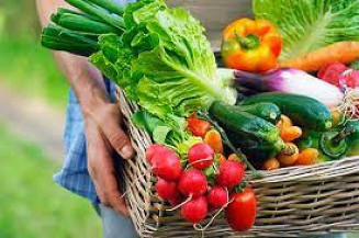 Entre janeiro e setembro, o volume total de frutas exportado ficou em 694 mil toneladas; Foto: Internet