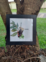 Empresária cria presentes exclusivos e personalizados para mostrar a beleza da fronteira