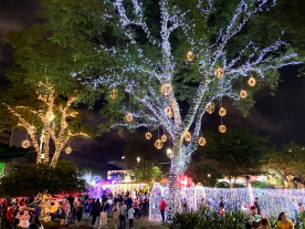 GALERIA: Confira alguns momentos do Dourados Brilha