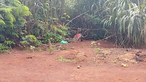 FOTOS: Indígena de 16 anos é encontrada morta com sinais de facadas