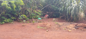 FOTOS: Indígena de 16 anos é encontrada morta com sinais de facadas