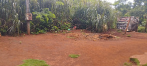 FOTOS: Indígena de 16 anos é encontrada morta com sinais de facadas