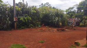 FOTOS: Indígena de 16 anos é encontrada morta com sinais de facadas