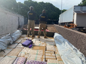 Douradenses são presos pela PRF com quase 8 toneladas de maconha em caminhão