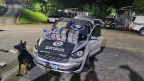 Policial Penal de MS é preso com 54 quilos de cocaína em Santa Catarina