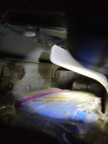 Policial Penal de MS é preso com 54 quilos de cocaína em Santa Catarina