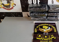 Foto: Divulgação/DOF