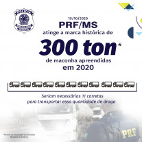 PRF já apreendeu 300t de maconha em 10 meses nas estradas de MS