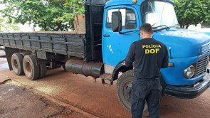 DOF aprende quase 2 toneladas de maconha com adesivo de limão na MS-164