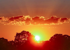 Máxima hoje chega aos 38ºC; Foto: Franz Mendes