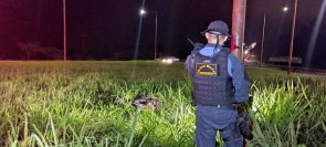 Jovem morre após bater moto em poste de energia entre Dourados e Itaporã