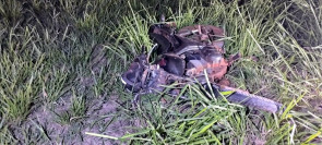 Jovem morre após bater moto em poste de energia entre Dourados e Itaporã