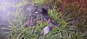 Jovem morre após bater moto em poste de energia entre Dourados e Itaporã