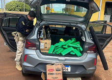 Tabletes de maconha estavam dentro de caixas no porta-malas do carro; Foto: PRF