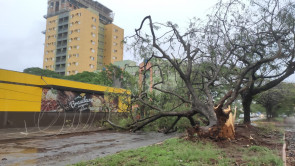 Chuva dá trégua e estragos começam a ser contabilizados