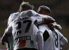 Foto: Divulgação Club Deportivo Palestino