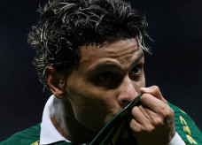 Foto: Divulgação SE Palmeiras
