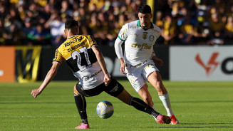 Foto: Cesar Greco/Palmeiras