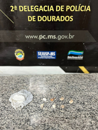 Porções da droga apreendidas; Foto: Divulgação/Polícia Civil