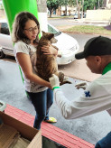 Vacinação ocorrerá também nos distrito e zona rural de Dourados; Foto: Assecom