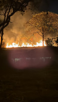 Incêndio atinge área de mata do Flor de Maio e assusta moradores em Dourados