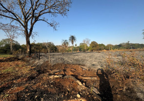 Incêndio atinge área de mata do Flor de Maio e assusta moradores em Dourados