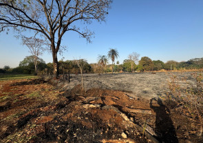 Incêndio atinge área de mata do Flor de Maio e assusta moradores em Dourados