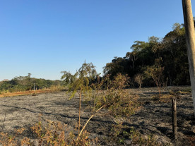 Incêndio atinge área de mata do Flor de Maio e assusta moradores em Dourados