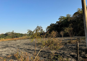 Incêndio atinge área de mata do Flor de Maio e assusta moradores em Dourados