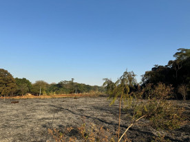 Incêndio atinge área de mata do Flor de Maio e assusta moradores em Dourados