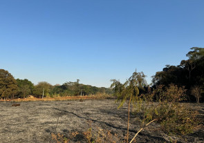 Incêndio atinge área de mata do Flor de Maio e assusta moradores em Dourados