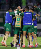 Foto: Divulgação SE Palmeiras