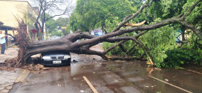 Vendaval deixa rastro de destruição em Dourados; confira as fotos