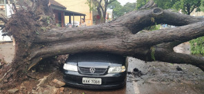 Vendaval deixa rastro de destruição em Dourados; confira as fotos